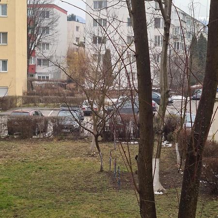Zenapartment Braşov Dış mekan fotoğraf