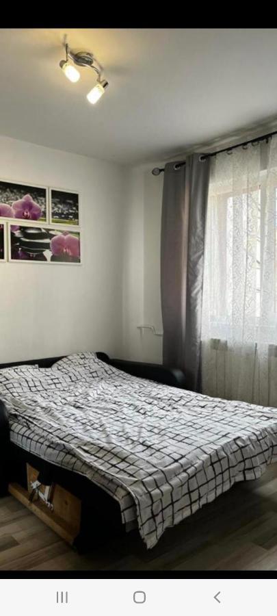 Zenapartment Braşov Dış mekan fotoğraf