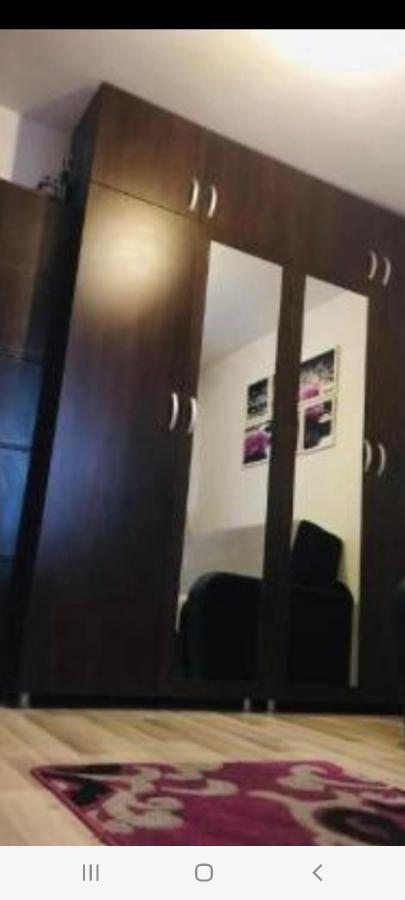 Zenapartment Braşov Dış mekan fotoğraf