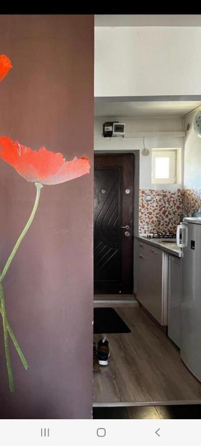 Zenapartment Braşov Dış mekan fotoğraf