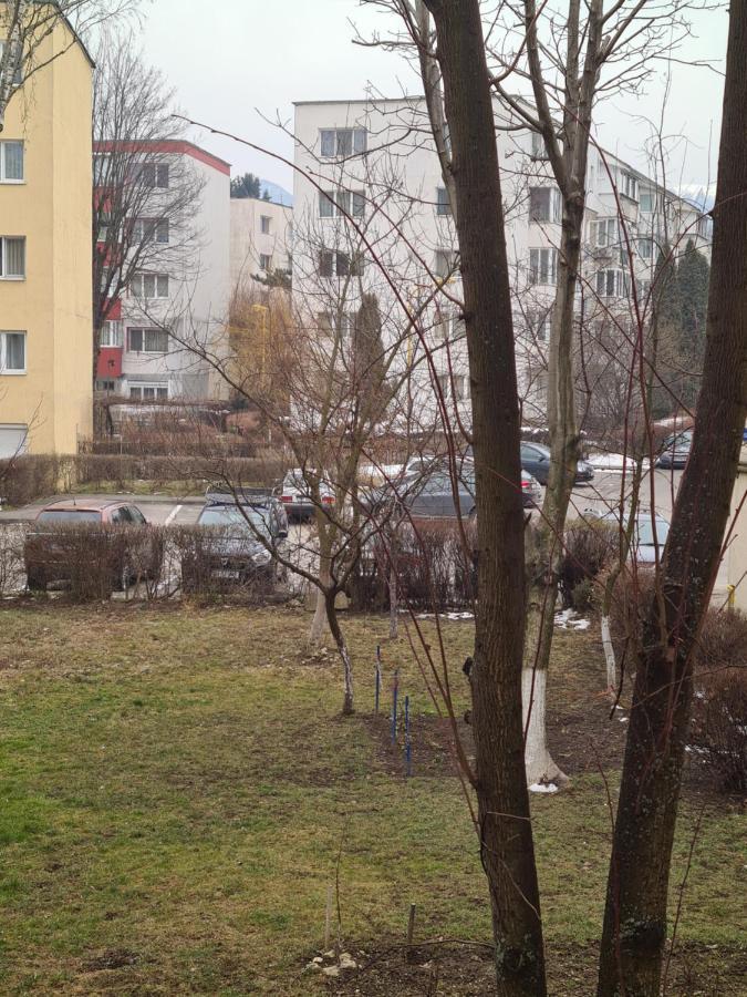 Zenapartment Braşov Dış mekan fotoğraf